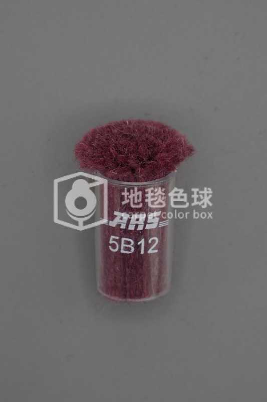 ARS 5B12