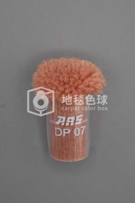 ARS DP07