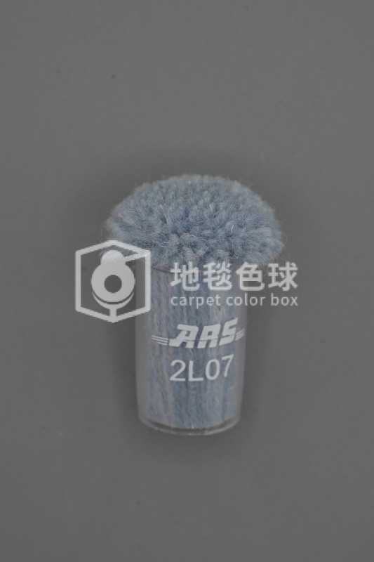 ARS 2L07