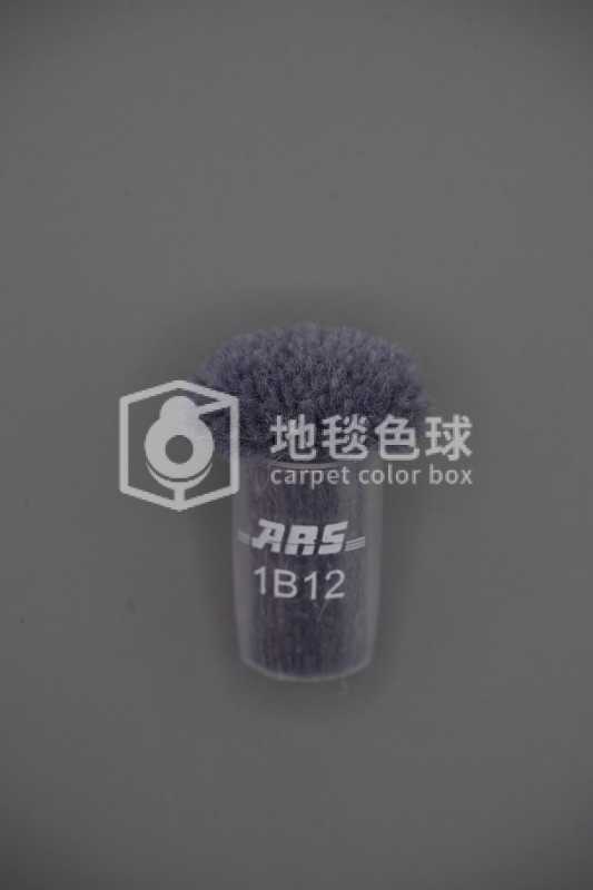 ARS 1B12