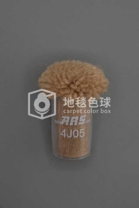 ARS 4J05