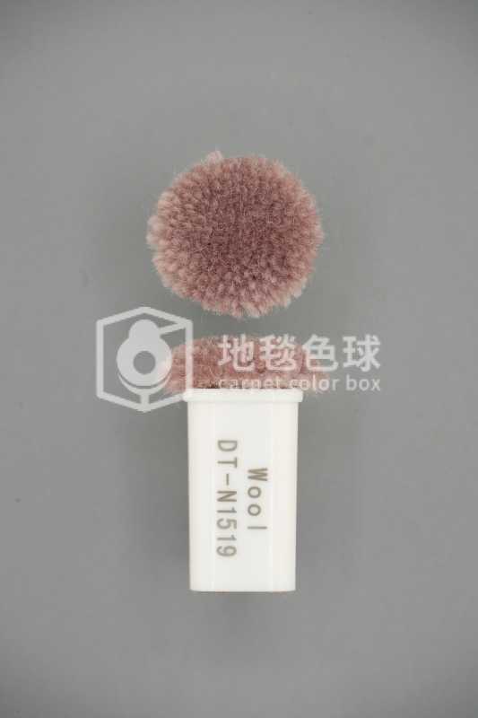 DT N1519
