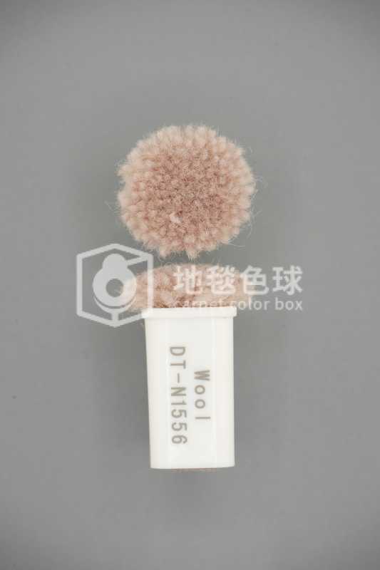 DT N1556