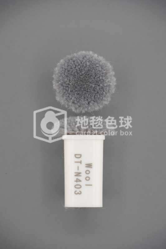 DT N403
