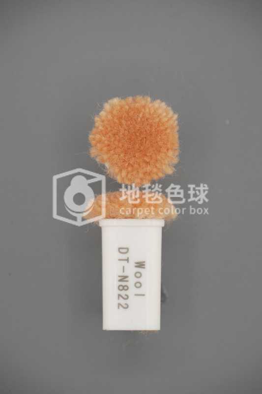 DT N822