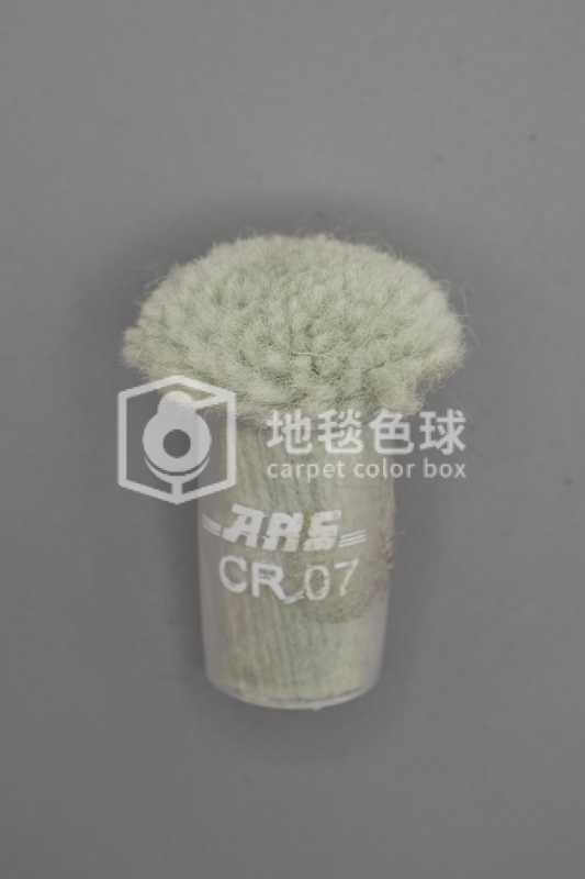 ARS CR07