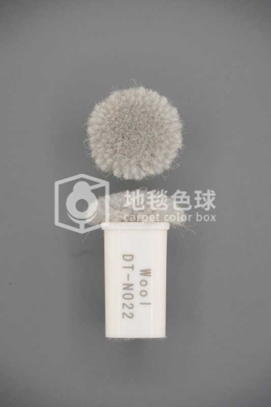DT N022