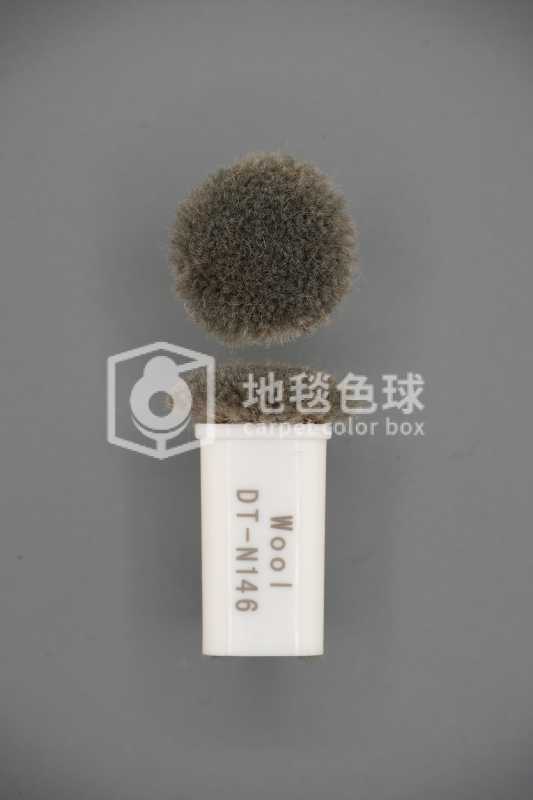 DT N146