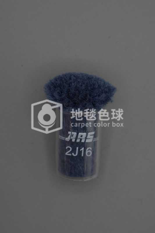 ARS 2J16
