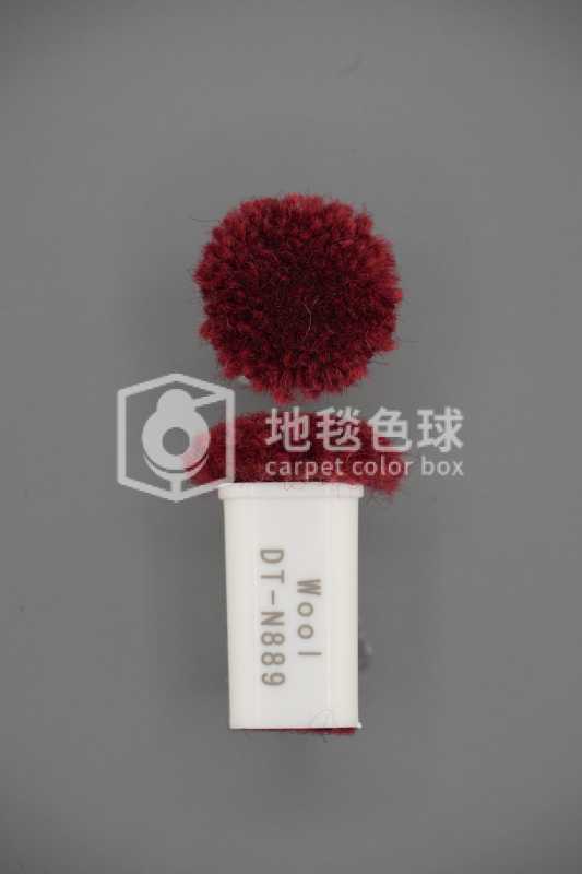DT N889
