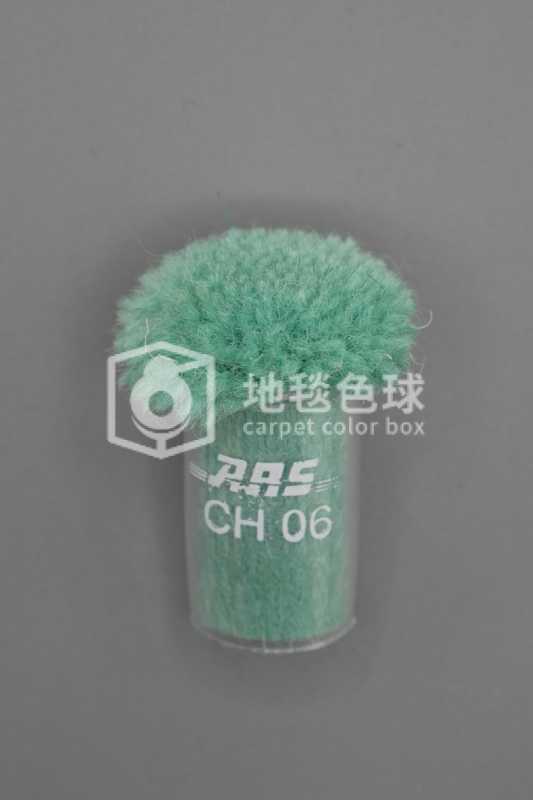 ARS CH06