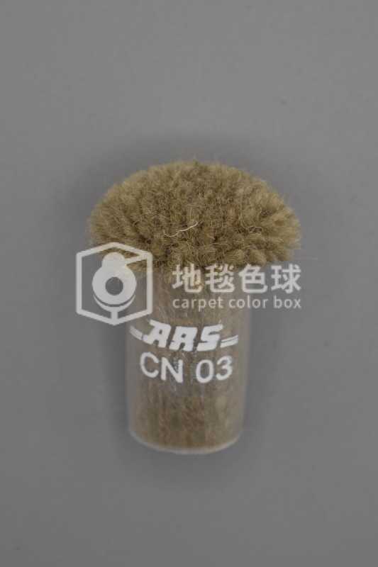 ARS CN03