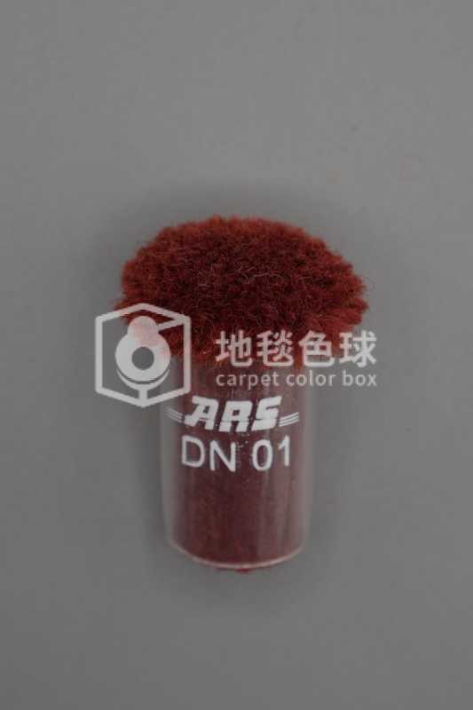 ARS DN01