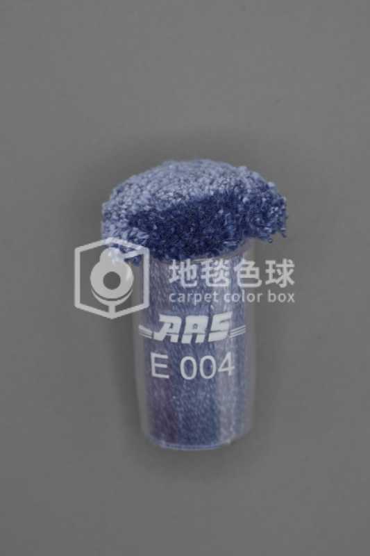 ARS E004