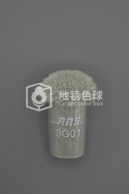 ARS 3G01