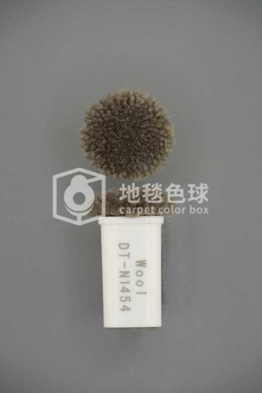 DT N1454