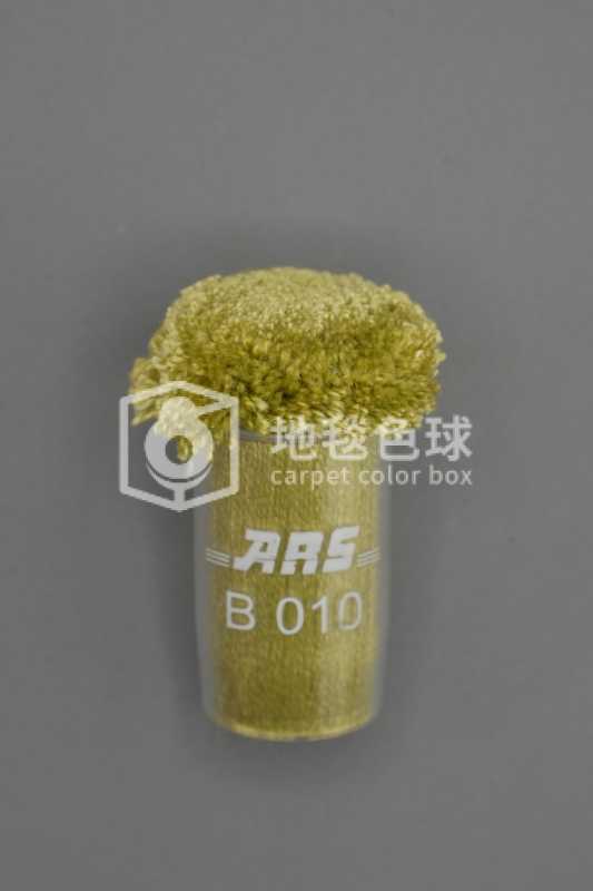 ARS B010