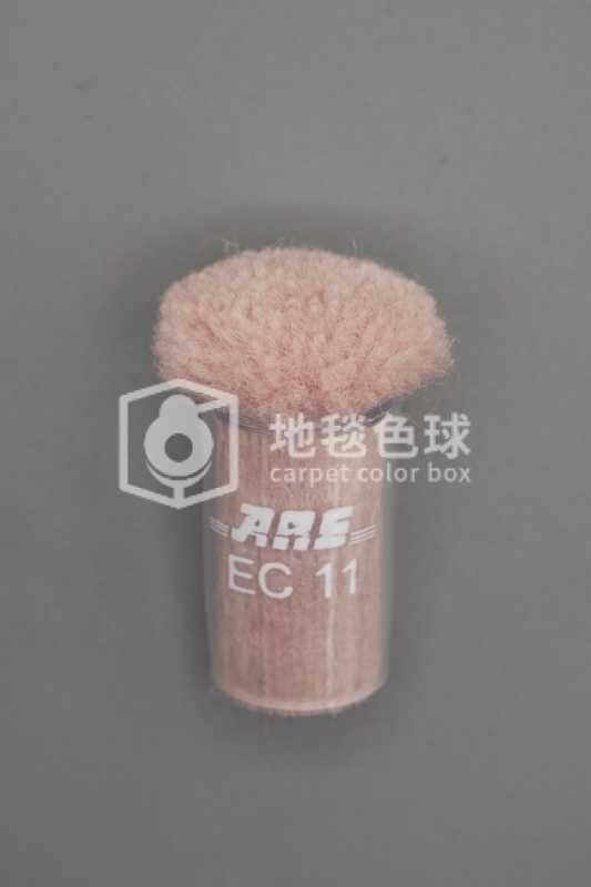 ARS EC11
