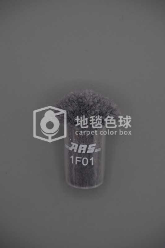 ARS 1F01