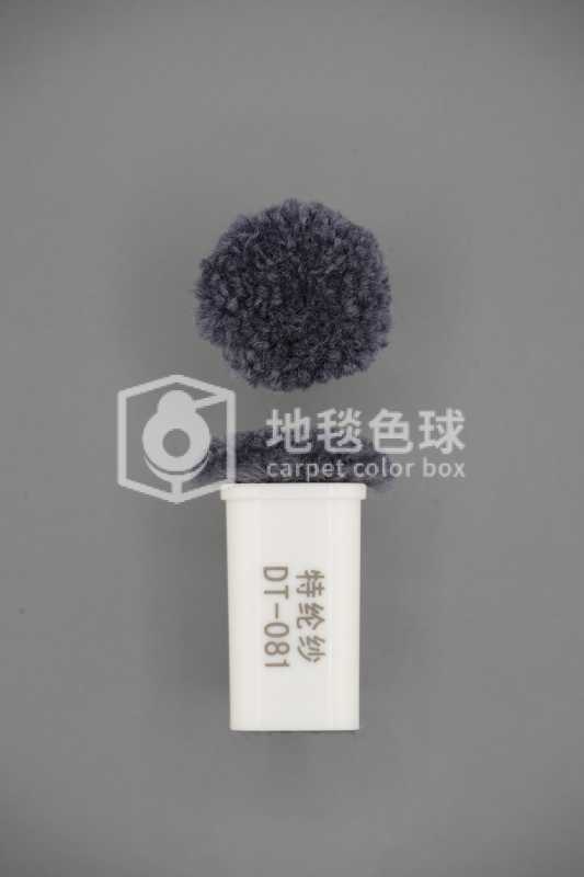 DT 081