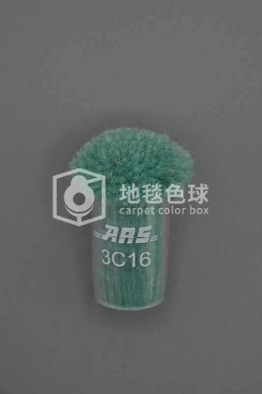 ARS 3C16
