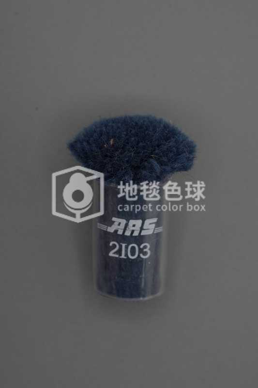 ARS 2I03