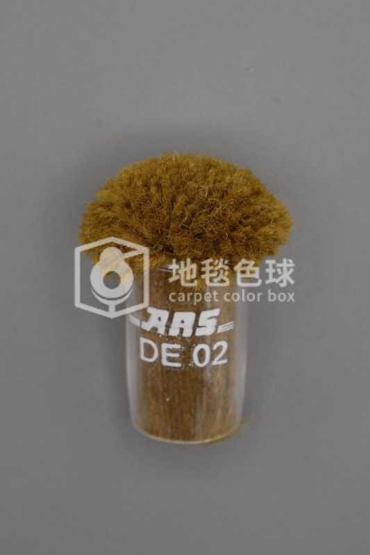 ARS DE02