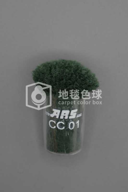 ARS CC01