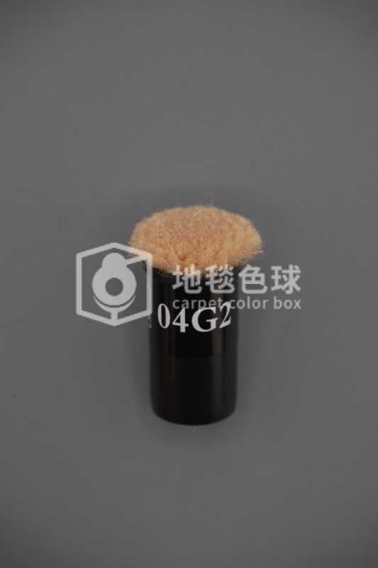 04G2