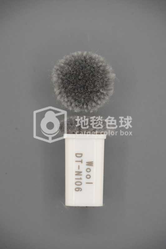 DT N106