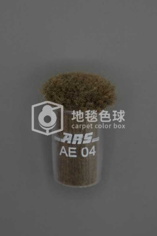 ARS AE04