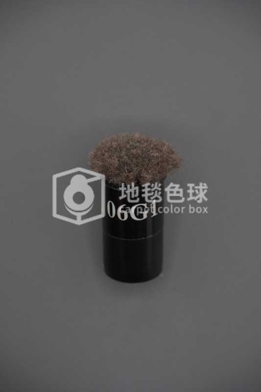 06G1