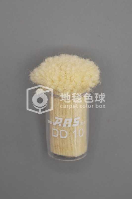 ARS DD10