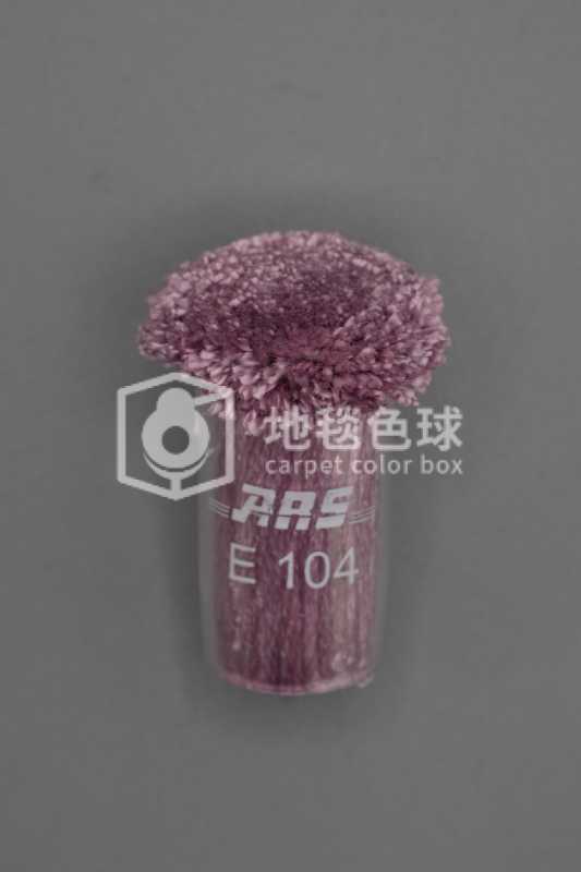 ARS E104