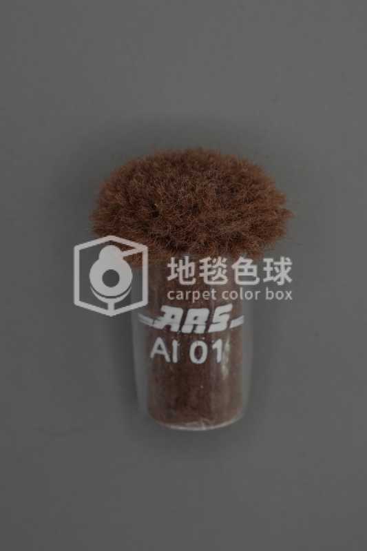 ARS AI01