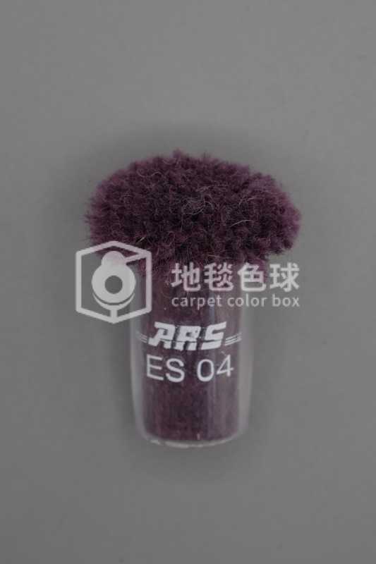 ARS ES04