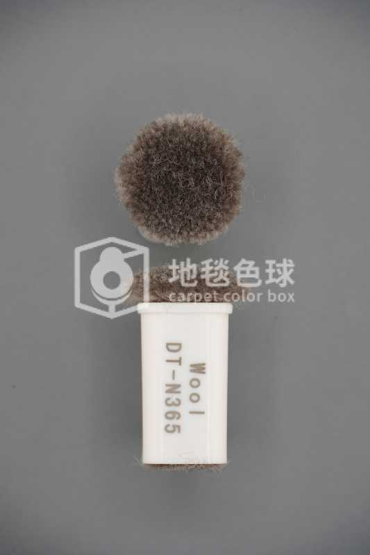 DT N365