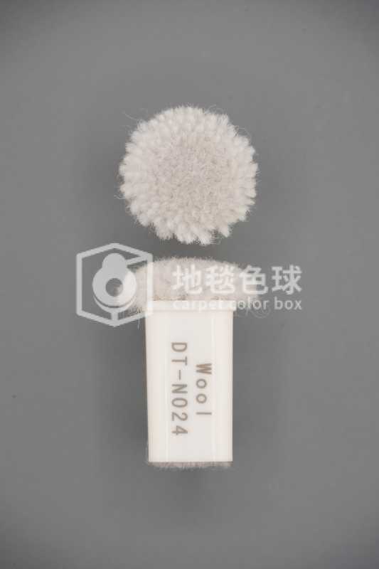 DT N024