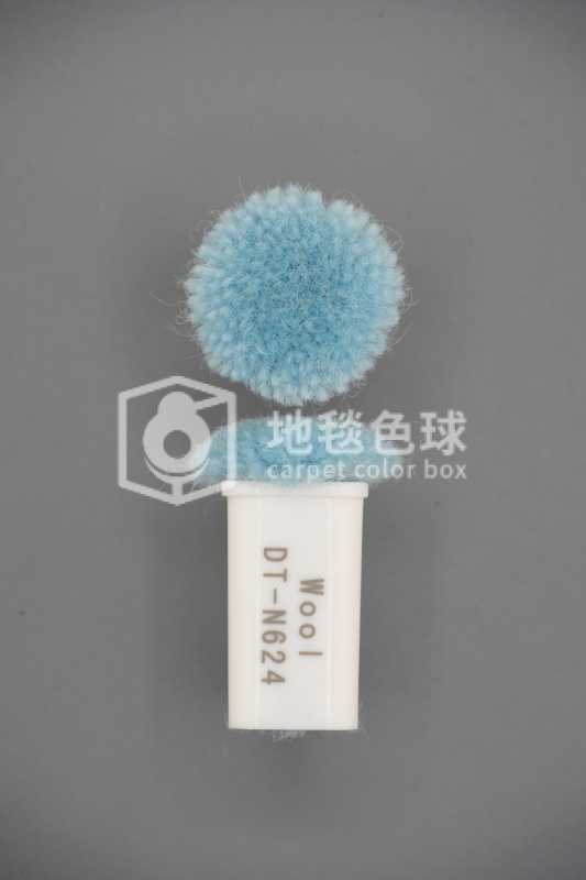 DT N624