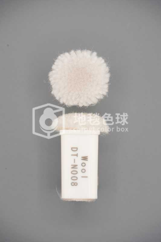 DT N008
