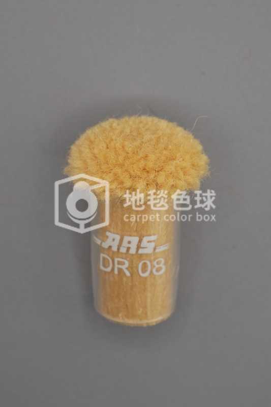 ARS DR08