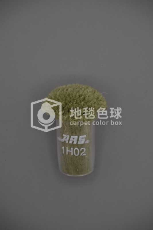 ARS 1H02