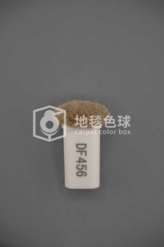 DF456