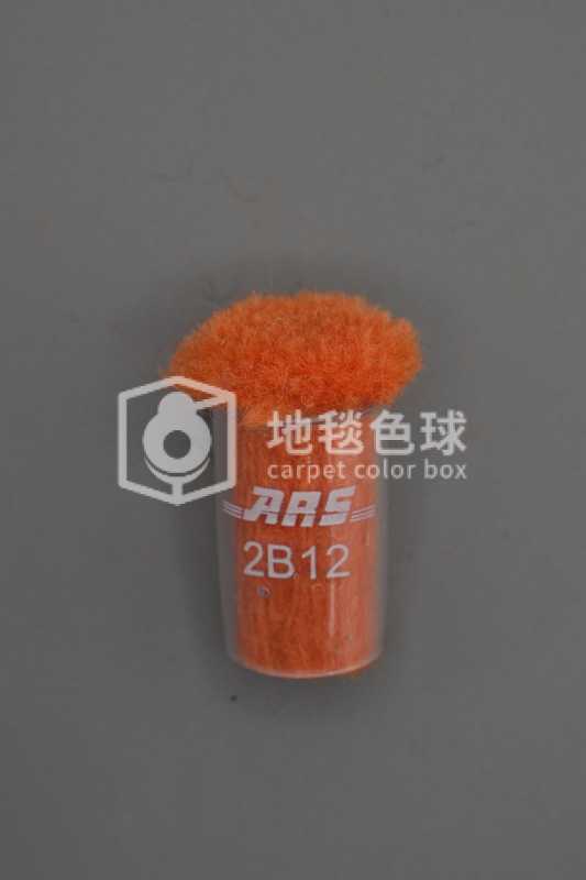 ARS 2B12