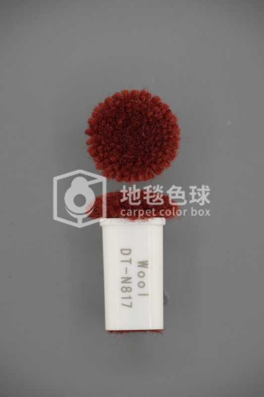 DT N817