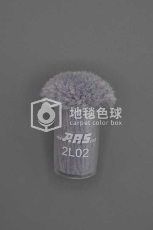 ARS 2L02