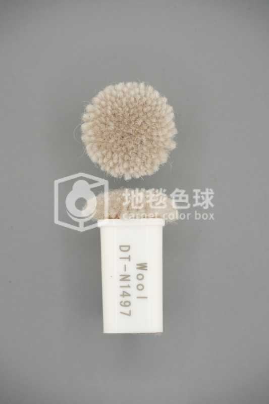 DT N1497