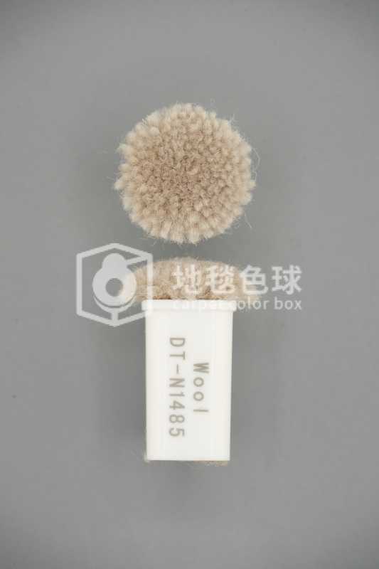 DT N1485