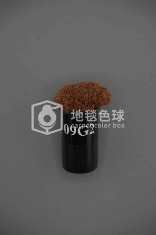 09G2