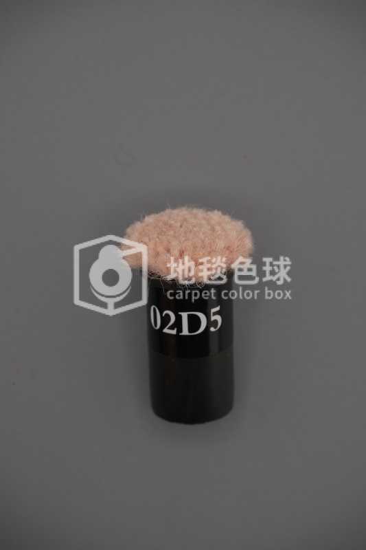02D5
